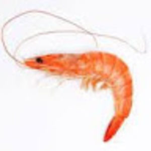 Meet your Posher, Ethan